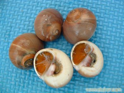 給連云港匯泰食品的連云港水產(chǎn)品留言_產(chǎn)品詢價_詢價留言