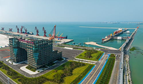 工業園區里辦馬拉松,連云港這個新區自信何來